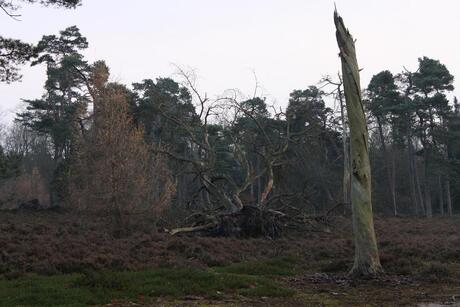 The destructive power of nature.