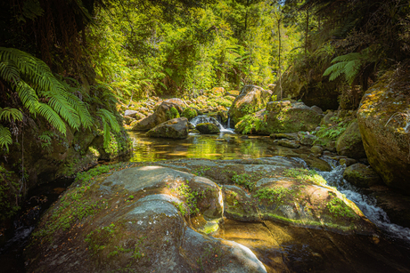 Green Pools