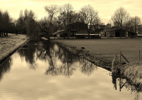 Sepia landschap