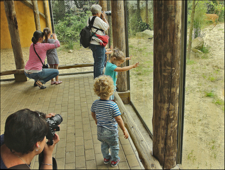 Wie fotografeert wie...