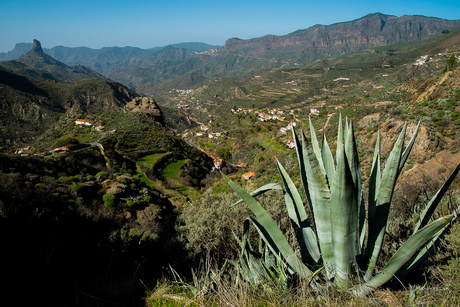 Gran Canaria