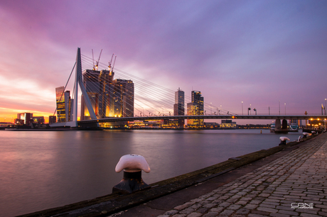 Zonsopkomst in Rotterdam 2