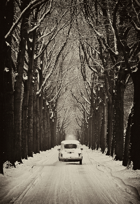 Renault in de sneeuw