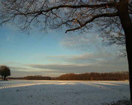 Winterdag