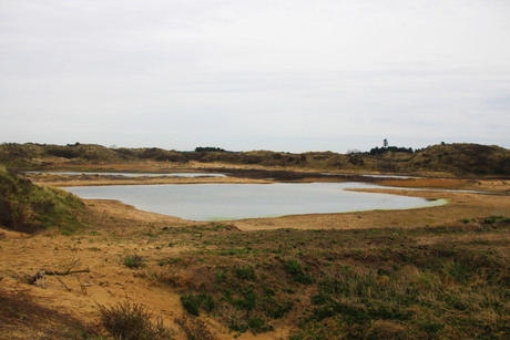 uitzicht over de duinen