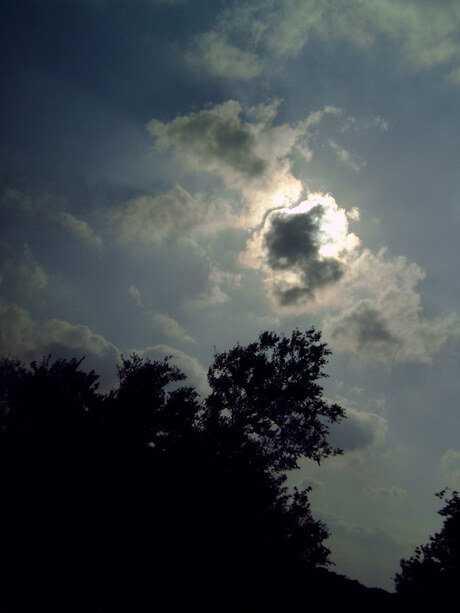 Silhouettes & the Sky