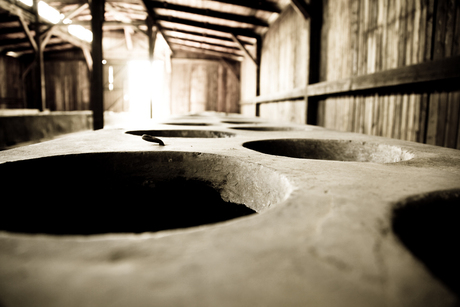 Toilet Auschwitz Birkenau