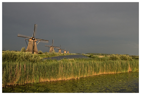 Kinderdijk