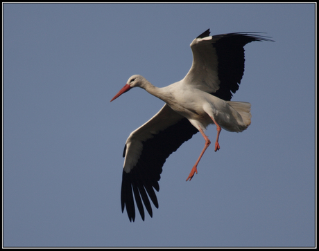 Landing procedure