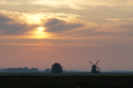 ZELFDE 6 Molen