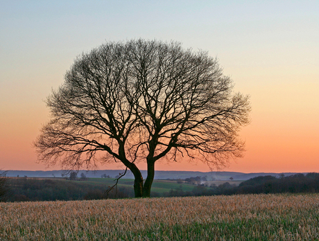 zonsondergang