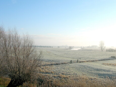 Uiterwaarden in de winter