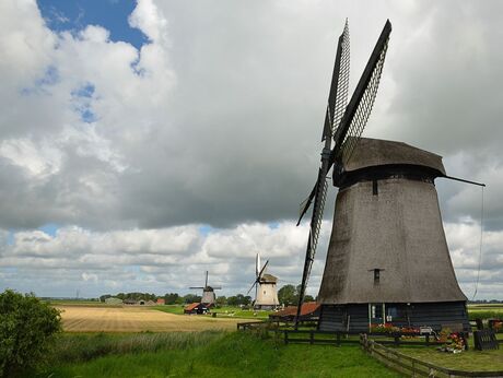 Molen