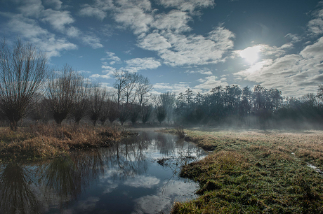 Kleine Dommel, Zegge Eindhoven