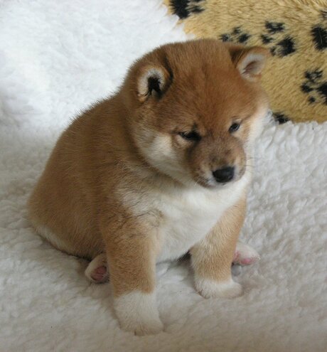 Effe uitrusten van het spelen