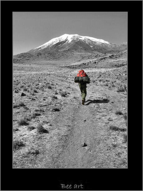 Hiking Mt. Ararat