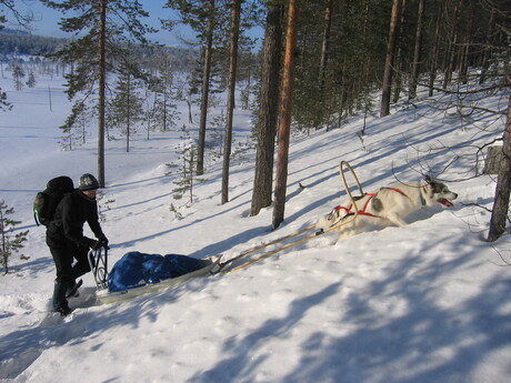 sneeuwpret in Oulanka