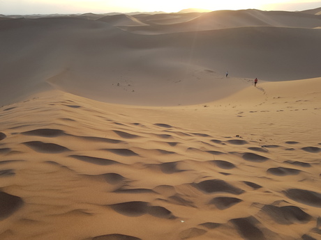 Marokkaanse zandduinen