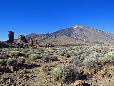 Uitzicht op de de vulkaan de El Teide in Tenerife