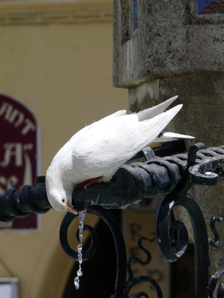 Hitte in Rhodos