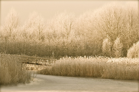 winterlandschap