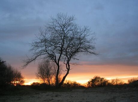 Zonsondergang in Meijendel