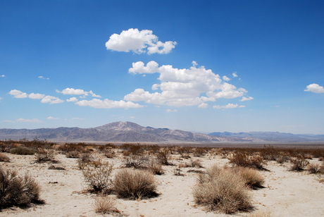 Joshua Tree National Park, California