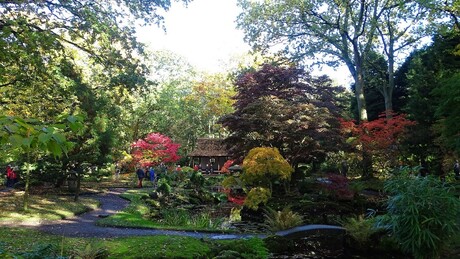 Clingendael, JapanseTuin_herfst_1