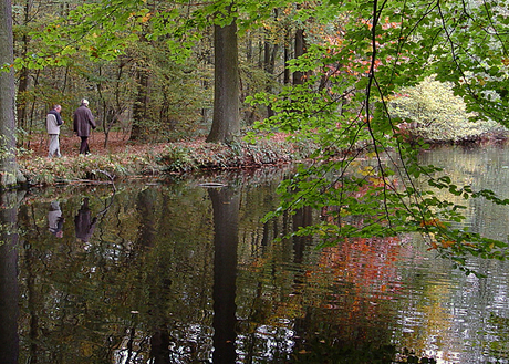 Herfst in het Bos Pietersheim