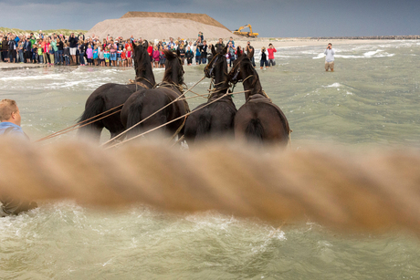 Paardenreddingboot Ameland de boot wordt het water ingetrokken