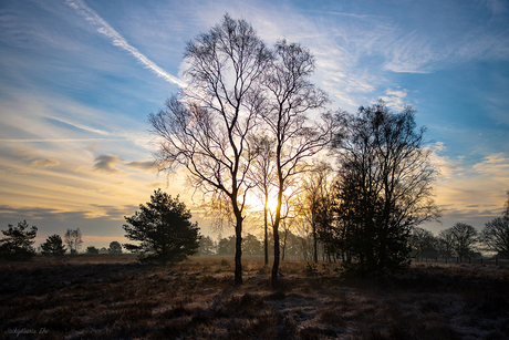 Strabrechtse Heide