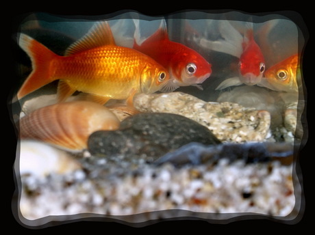 Spiegeltje, spiegeltje.......