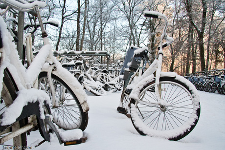 Witte fietsen, maar dan anders