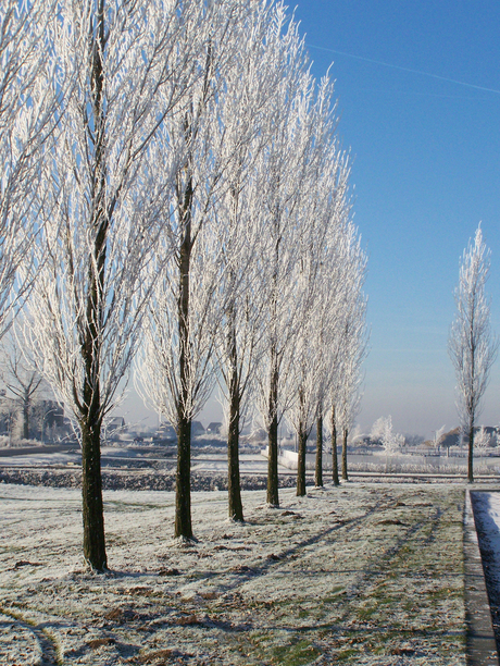 Winter