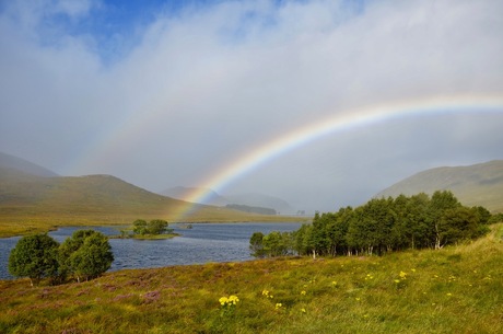 Regenboog Schotland