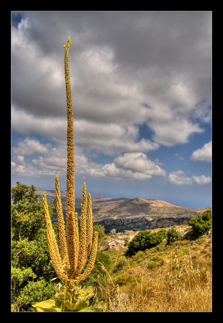 Lasithi plateau - Kreta