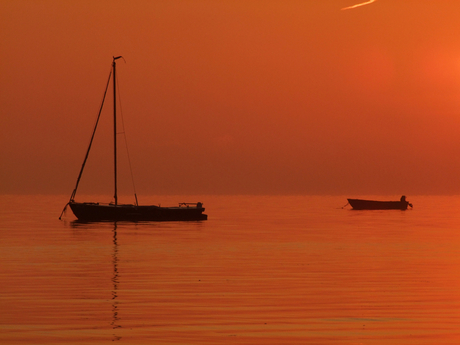 Zonnig Zomers (1)