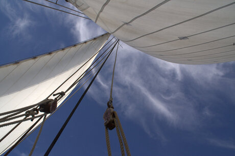 Met de wind in de zeilen