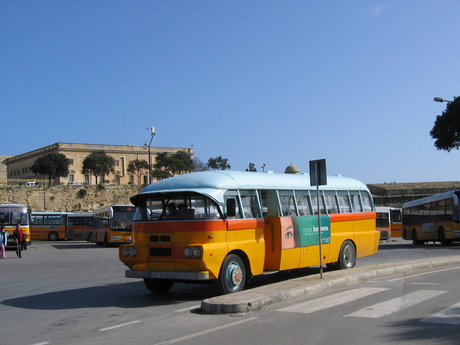 Bus op Malta 2