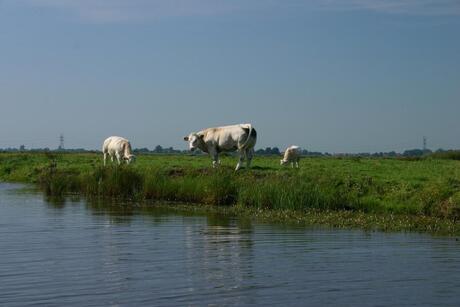 Noord Hollandse Polder