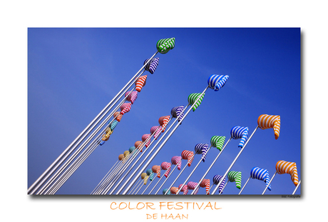 Color Festival De Haan