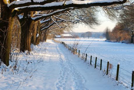 Winterpanorama