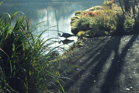 Heempark Amstelveen