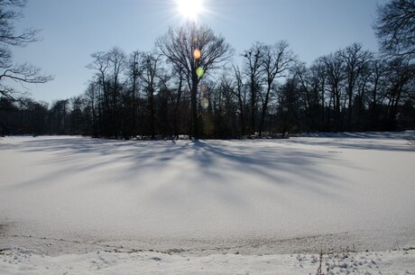 Winter 2012; park Sonsbeek in Arnhem