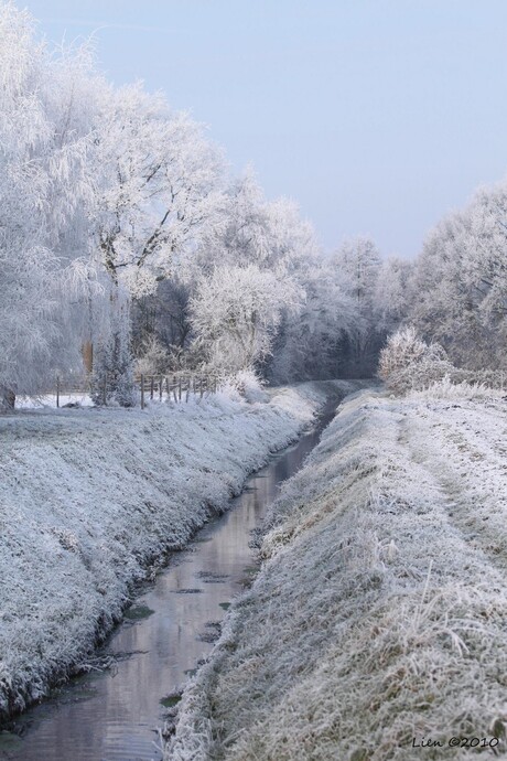 Winterwonderland I