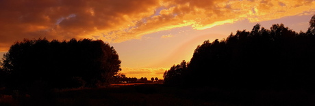 panorama golden skye