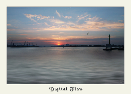 Digital flow