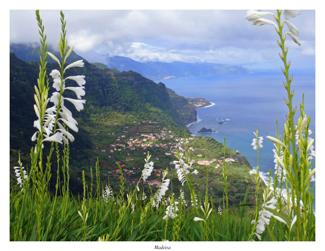 Beautiful Madeira