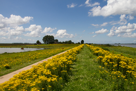 tiengemeten02.jpg