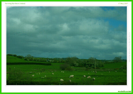Sheep farming noord ierland